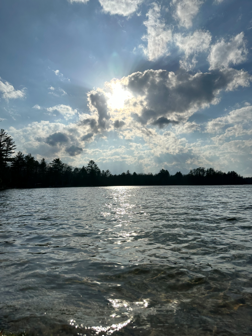 A picture of a sunny lake